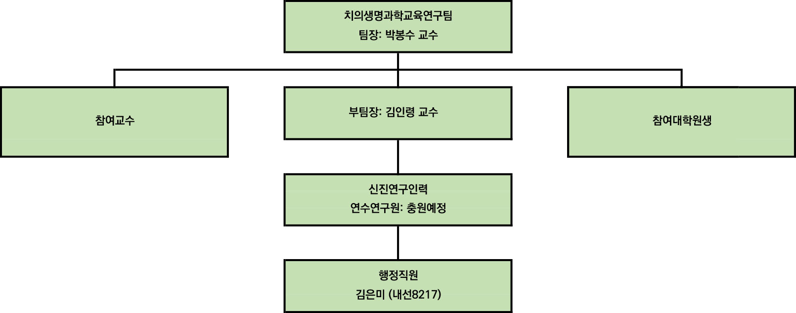 연구팀 조직도