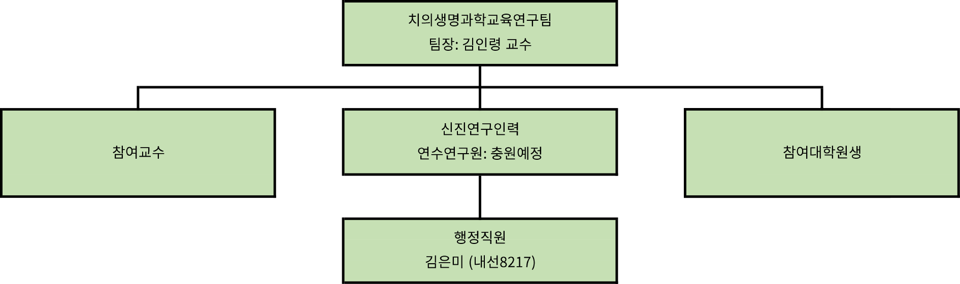 연구팀 조직도